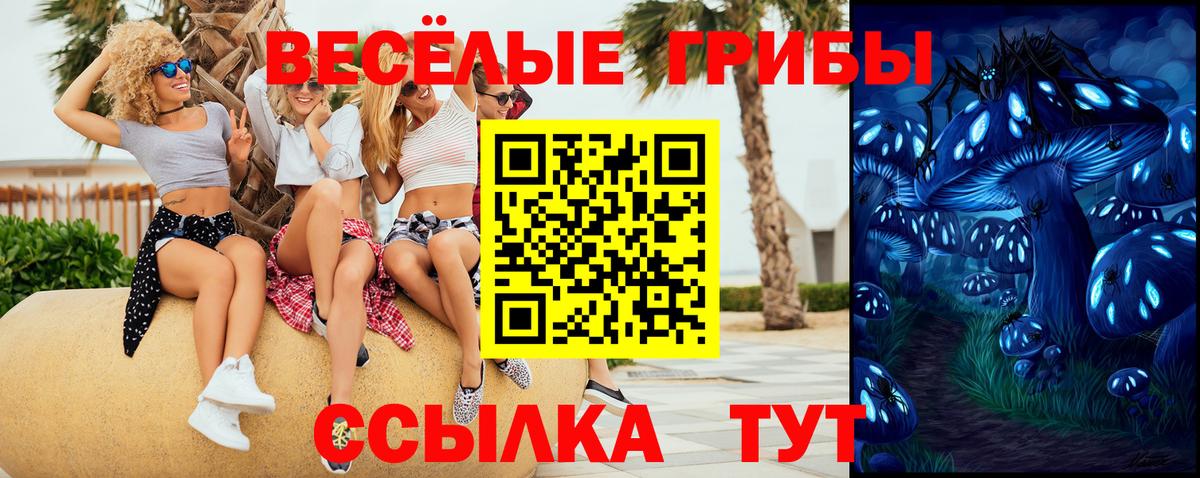Псилоцибиновые грибы Psilocybe Октябрьский