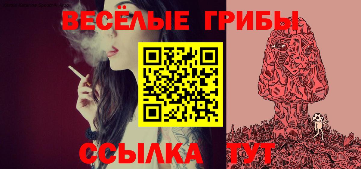 Октябрьский  Галлюциногенные грибы Cubensis  Галлюциногенные грибы прущие грибы  Вход с VPN 